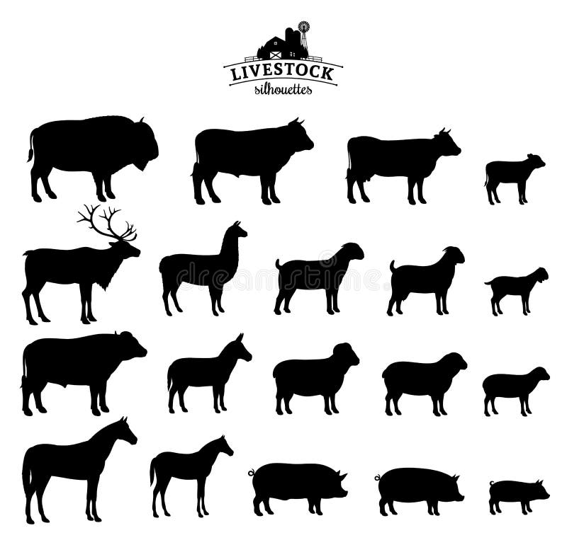 Download Vector Livestock Silhouettes Isolated On White Stock ...