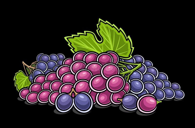 Vector logo for Grapes royalty free illustration
