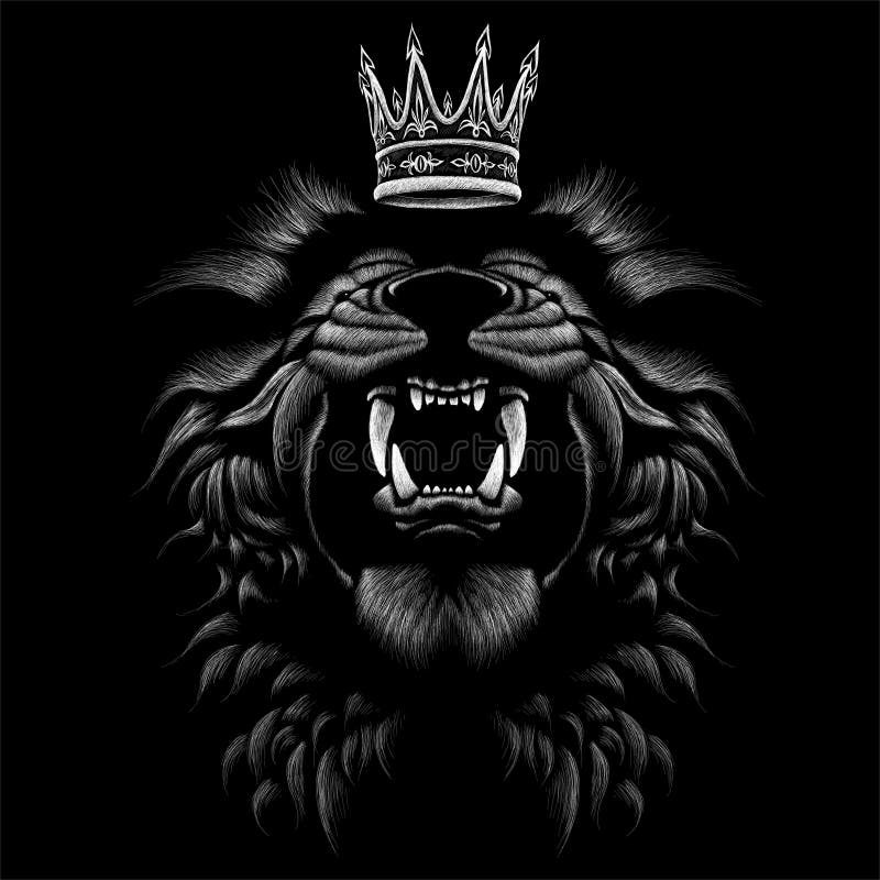 100+] Lion Iphone Wallpapers | Wallpapers.com