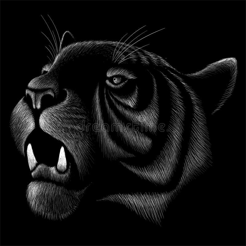 334 Tiger Tattoo Stock Photos - Free & Royalty-Free Stock Photos from Dreamstime 334 Tiger Tattoo Stock Photos - Free & Royalty-Free Stock Photos from Dreamstime