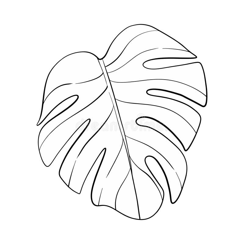 Vector Monstera black leaf. Exotisk sommar färsk Isolat för att skapa bröllopsinbjudningskort. Tropiska växter royaltyfri illustrationer