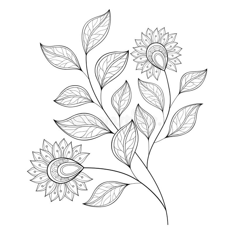 Vector Mooie Zwart-wit Contourbloem vector illustratie Vector Mooie Zwart-wit Contourbloem vector illustratie