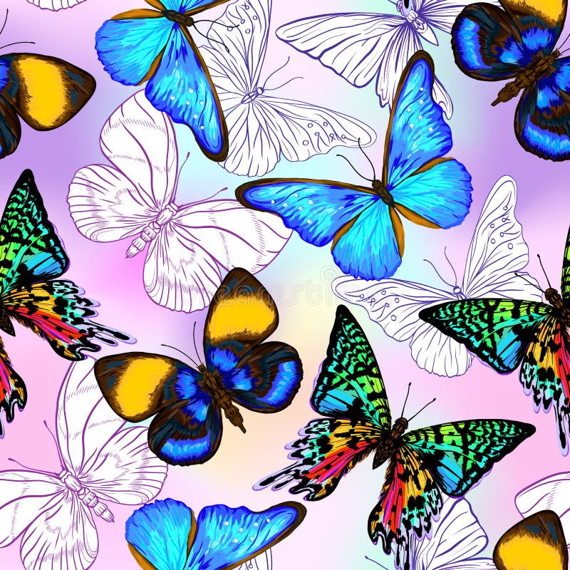 Vector naadloos patroon, Hand getrokken achtergrond met vlinders vector illustratie Vector naadloos patroon, Hand getrokken achtergrond met vlinders vector illustratie