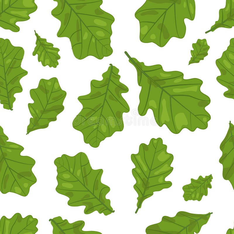 Vector Naadloos van Eiken Bladeren in Groene Kleuren stock illustratie Vector Naadloos van Eiken Bladeren in Groene Kleuren stock illustratie