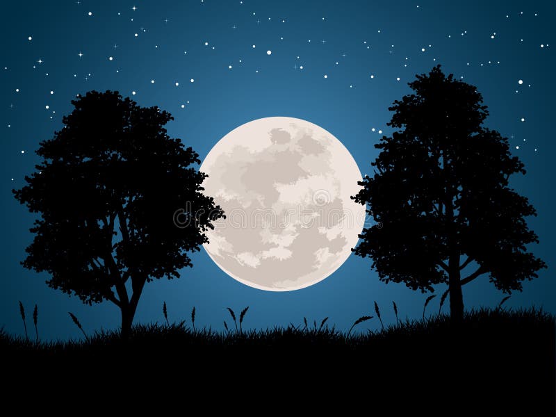 https://thumbs.dreamstime.com/b/vector-night-landscape-full-moon-stars-tree-silhouette-vector-night-landscape-full-moon-stars-tree-silhouette-158222655.jpg