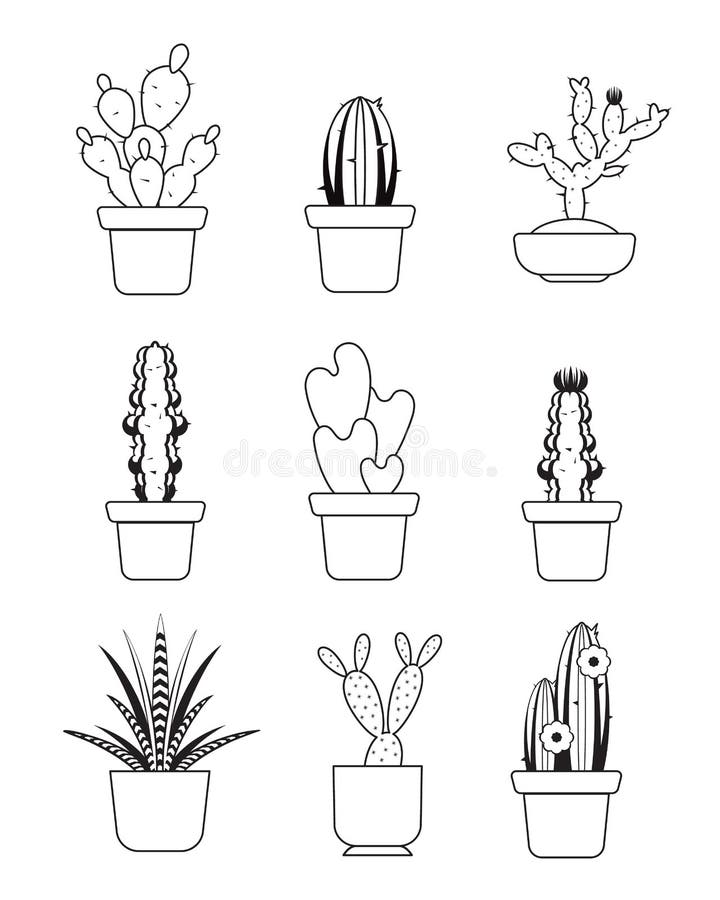 Vetores de Cacto De Desenho Animado Vetor Na Panela Planta Suculenta  Interior Com Espinhos Cactos Para Casa E Interior Ilustração De Rabisco  Botânico Colorido Isolado Em Fundo Branco e mais imagens de