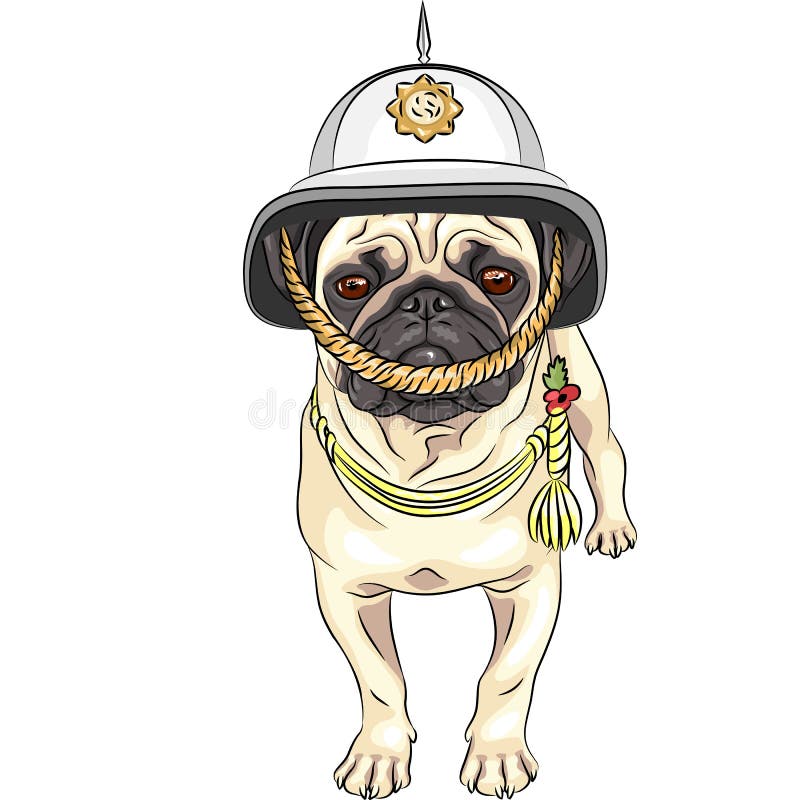 Vector o pug engraçado do cão dos desenhos animados no capacete britânico ilustração royalty free Vector o pug engraçado do cão dos desenhos animados no capacete britânico ilustração royalty free