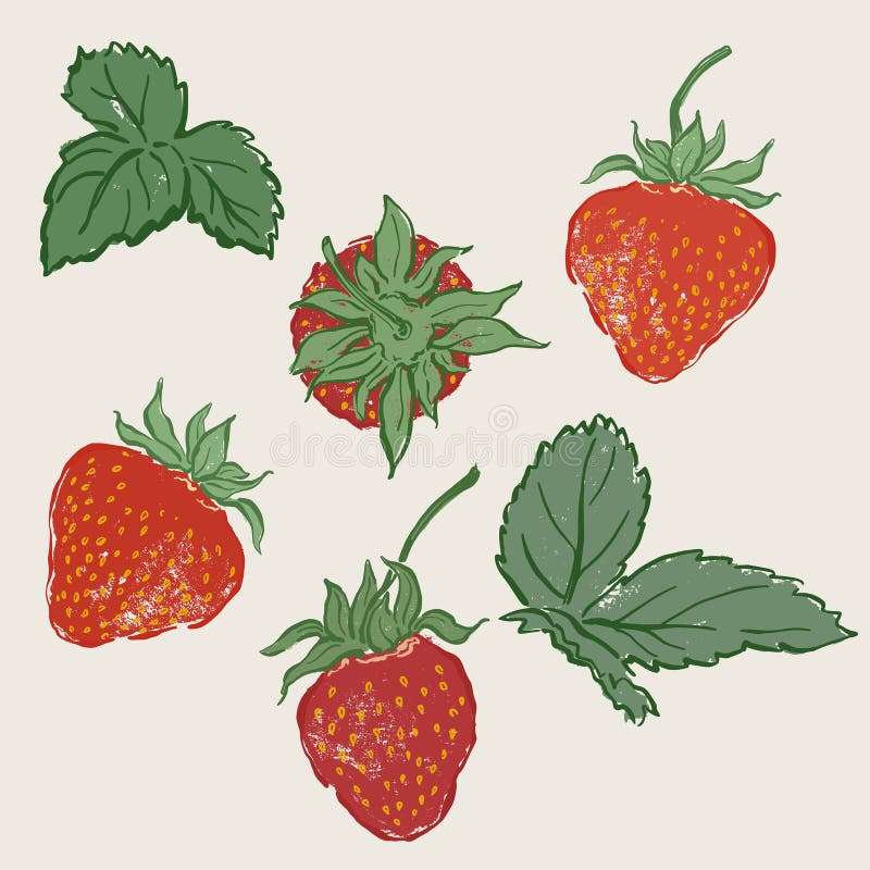 Vector Obstdoodle Abbildung saftiger Erdbeere und Blätter. Entwurf der handgezogenen Gartenernte. Bio-Bauerngrafik. geschmackvoll vektor abbildung