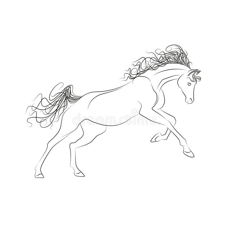 How to Care for a Mane and Tail - Horse Illustrated