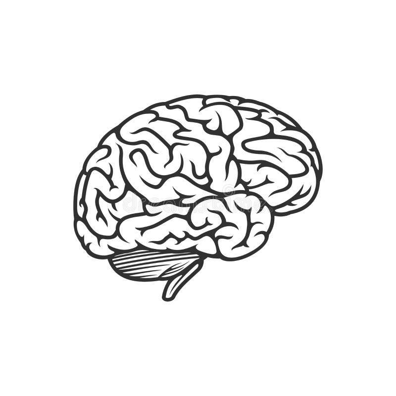 Brain Icon. Two Half Different Part of Bain. Simple Brain Flat Design ...