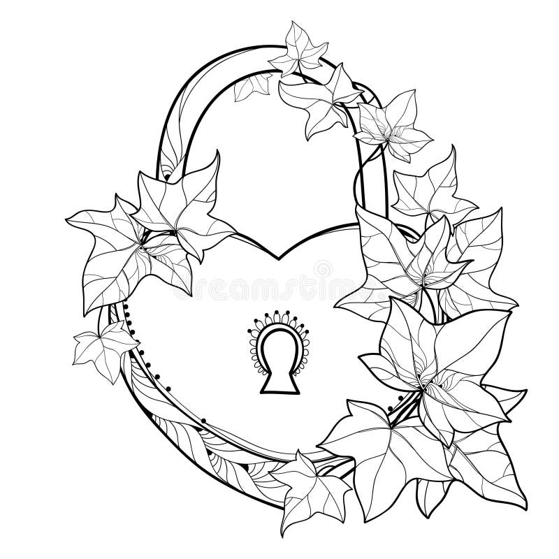 Vector padlock heart with outline bunch Ivy or Hedera vines. Ornate leaves of Ivy in black isolated on white background.