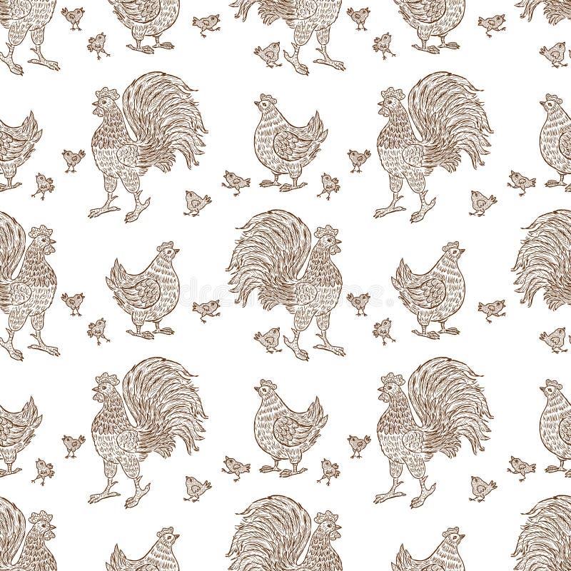 Background of the cocks, hens and chickens