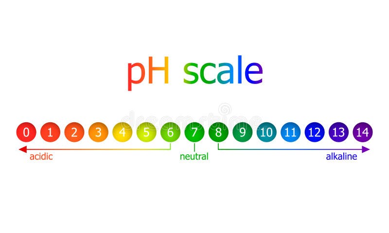 Vector pH Scale Scheme, Rainbow Colors, Isolated on White Background Illustration, Healthy Eating Concept. Vector pH Scale Scheme, Rainbow Colors, Isolated on White Background Illustration, Healthy Eating Concept.
