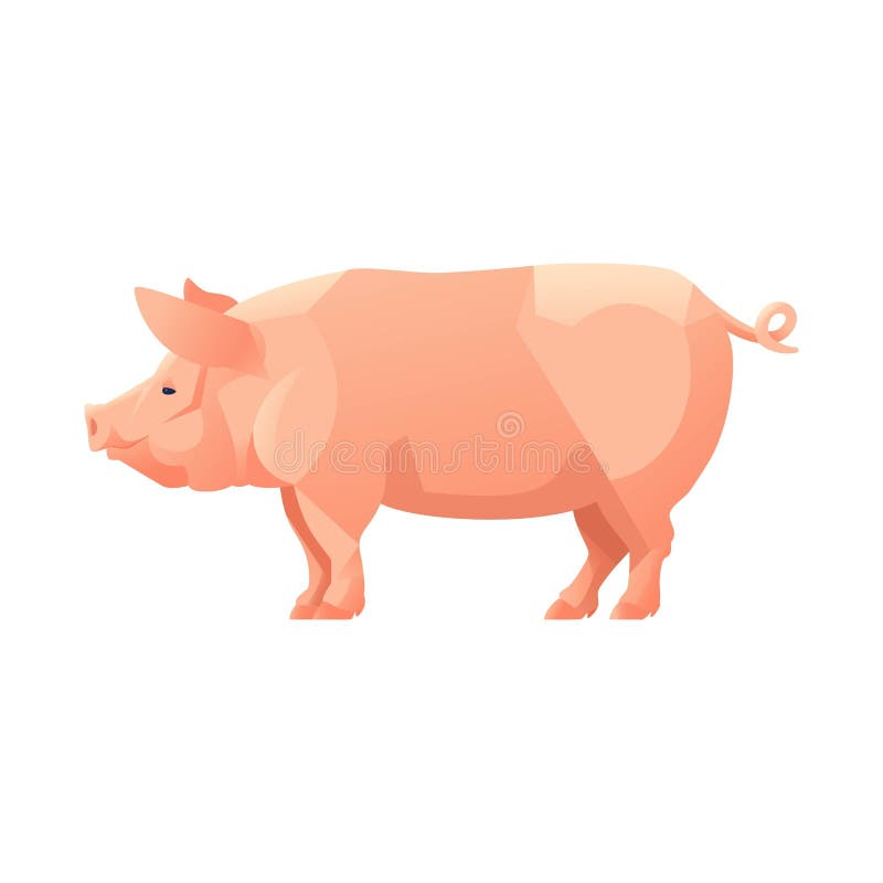 Ilustrație retrogradă grafică de porc vectorială ilustrație grafică deco izolată vector illustration