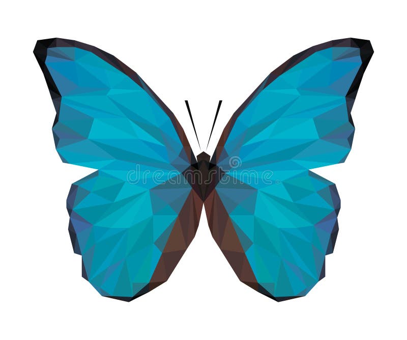 Vector polygonal colour butterfly. Triangle insect.