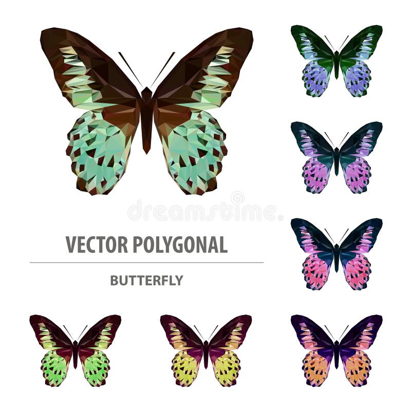 Vector polygonal colour butterfly. Triangle insect.