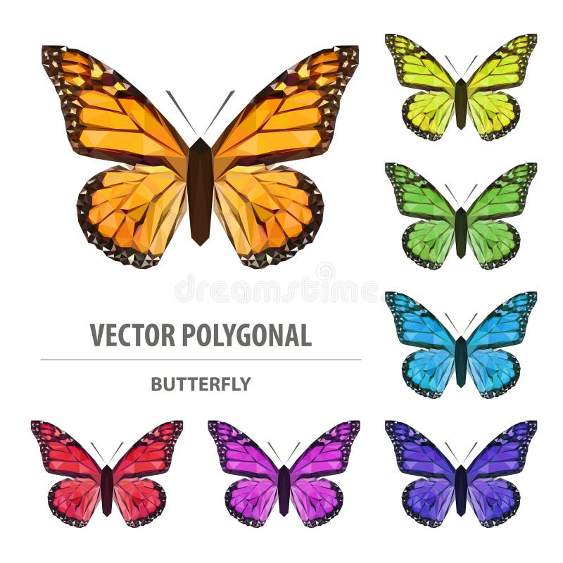 Vector polygonal colour butterfly. Triangle insect.