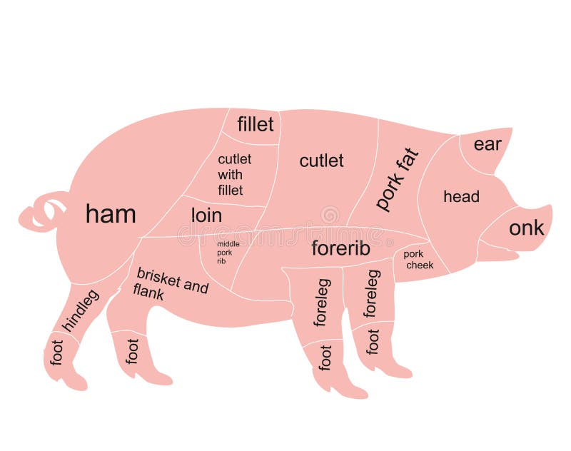 Pork Cuts Chart Poster