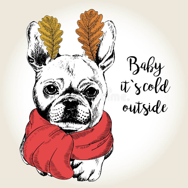 Vector portrait of dog in scarf and leaf ears. Hand drawn dog illustration. Baby it s cold outside.