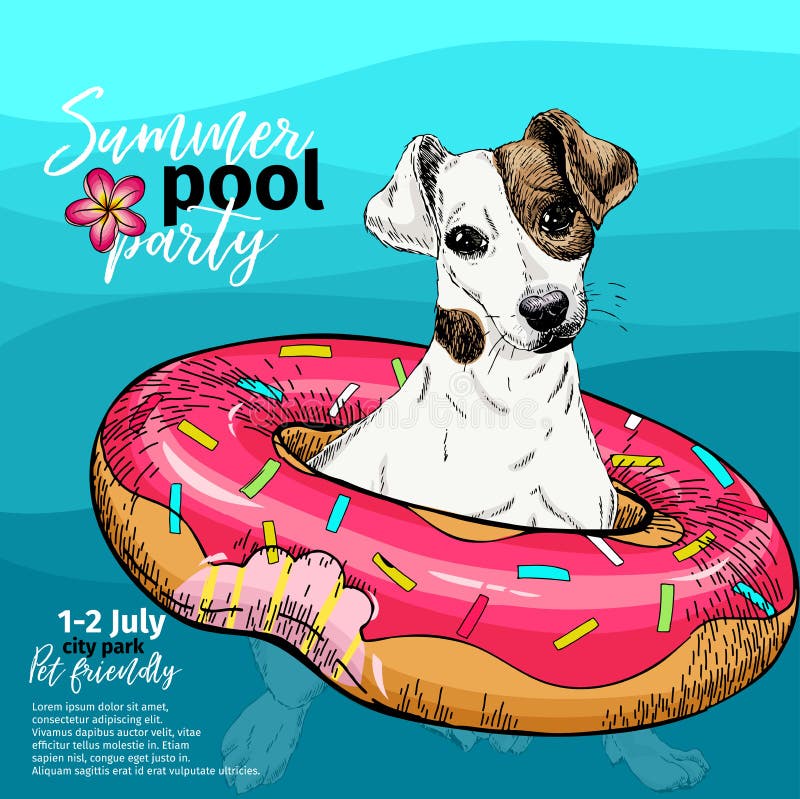 Vector portrait of Jack Russel terrier dog swimming in water. Donut float. Summer pool paty illustration. Sea, ocean