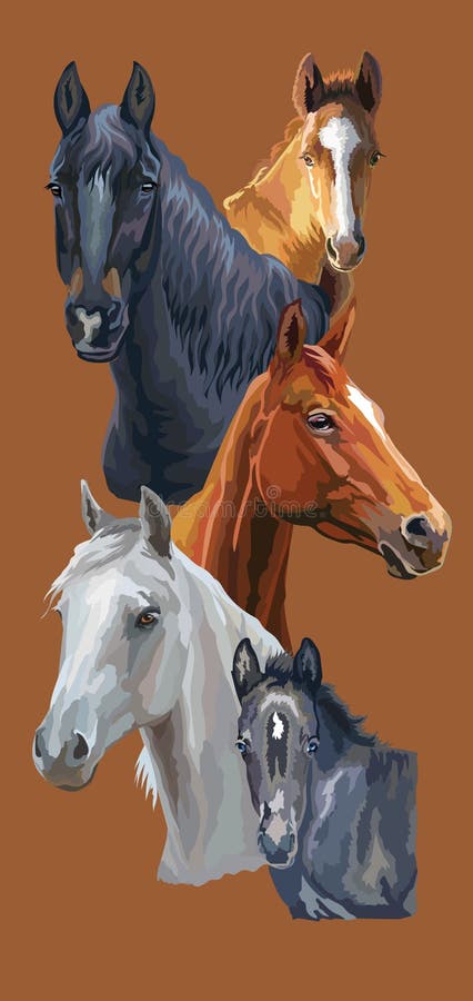 horse horses portrait animal Postcard 