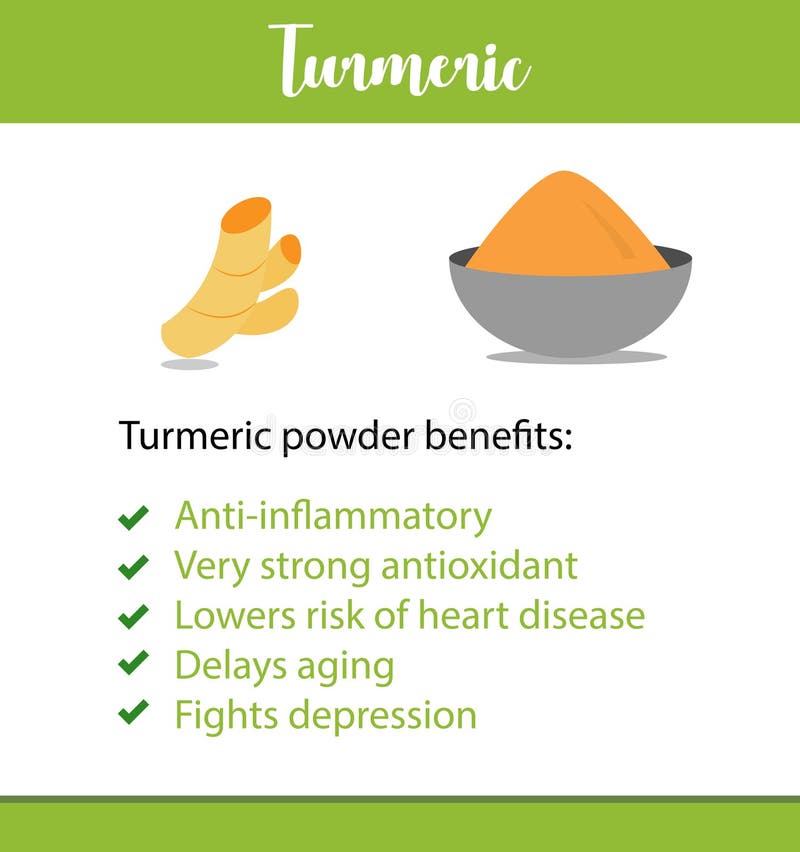 A vector poster or informative leaflet of an Indian herb, it`s powder and benefits in vector - Turmeric root - Vector royalty free illustration