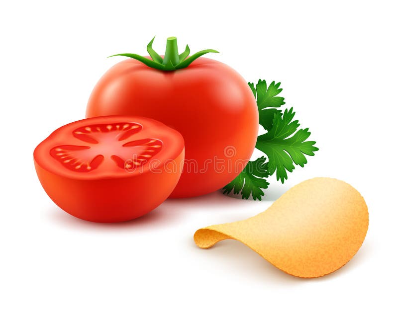 Vector Potato Crispy Chips with Red Tomato Close up on White Background. Vector Potato Crispy Chips with Red Tomato Close up Isolated on White Background vector illustration Vector Potato Crispy Chips with Red Tomato Close up on White Background. Vector Potato Crispy Chips with Red Tomato Close up Isolated on White Background vector illustration