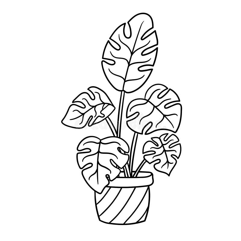 Vector Potted Houseplant, Coloring Page Stock Vector - Illustration of ...