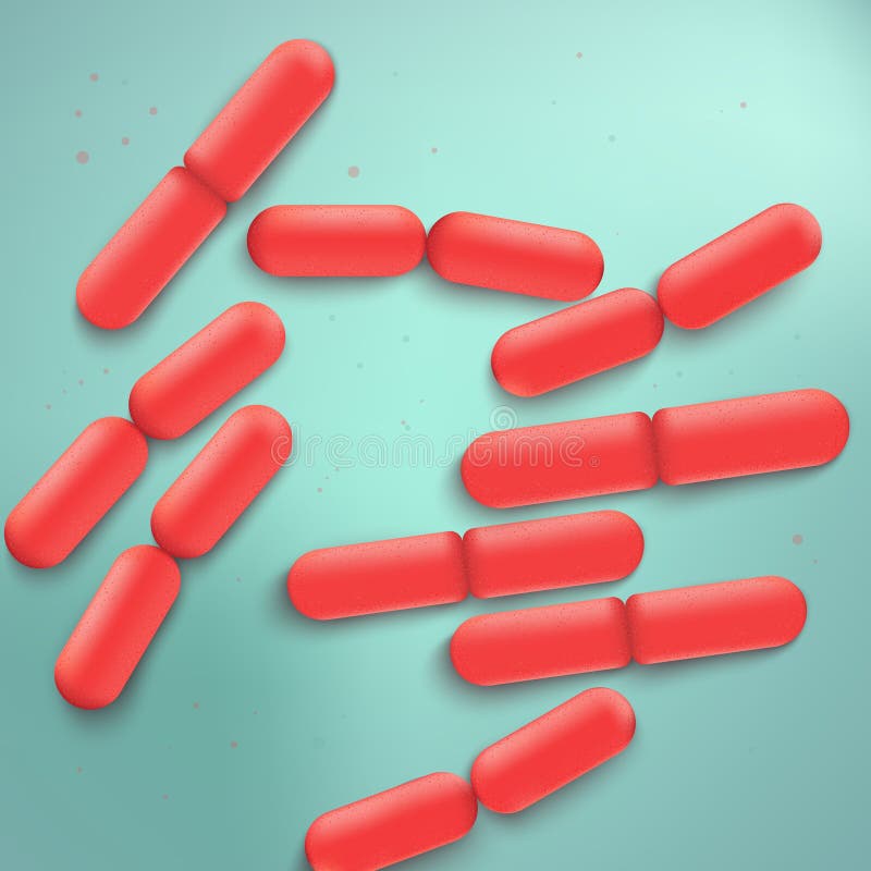 Vector realista de la colonia Bulgaricus de las bacterias stock de ilustración Vector realista de la colonia Bulgaricus de las bacterias stock de ilustración