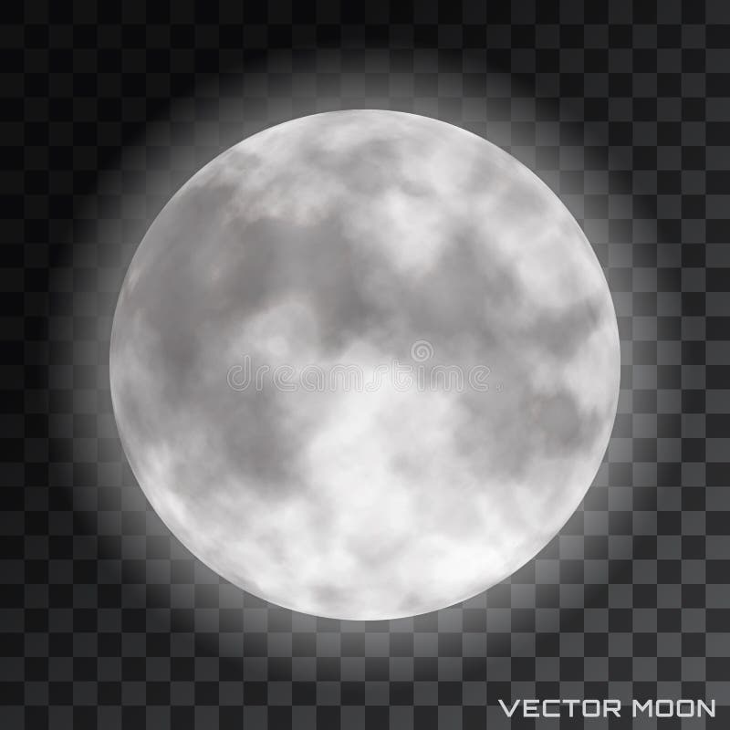 Different Phases Of Moon On Transparent Background Vector Stock