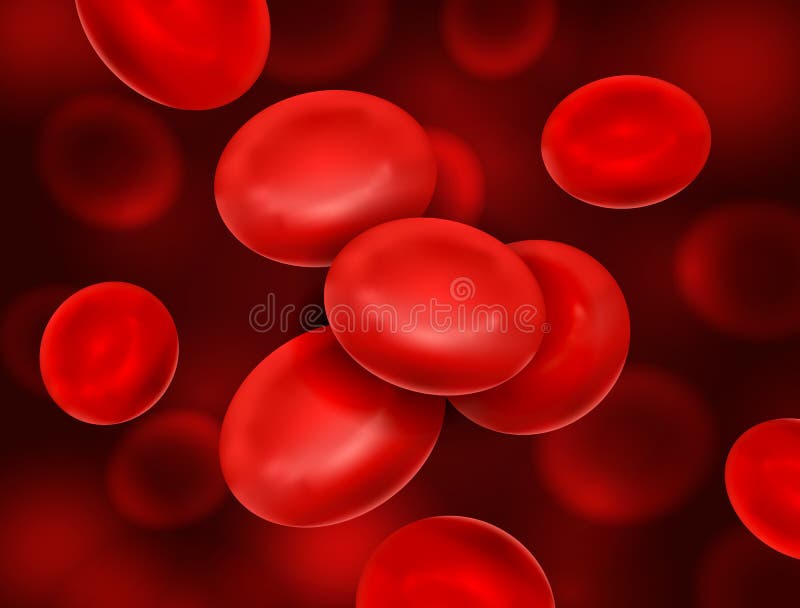 Vector realistic blood cells flow - macro medical illustration royalty free illustration