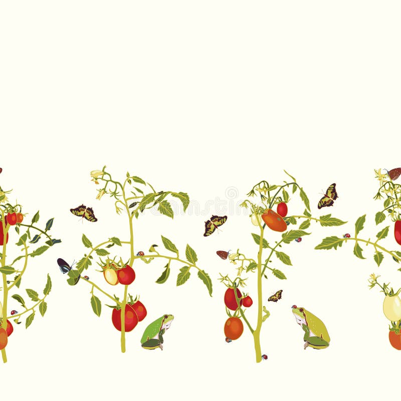 clipart garden border