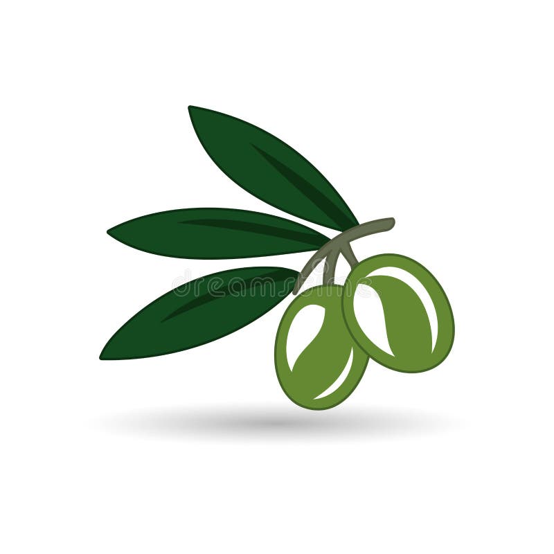 Vector realistic illustration of black and green olives branch isolated on white background. Design for olive oil, natural cosmeti vector illustration Vector realistic illustration of black and green olives branch isolated on white background. Design for olive oil, natural cosmeti vector illustration