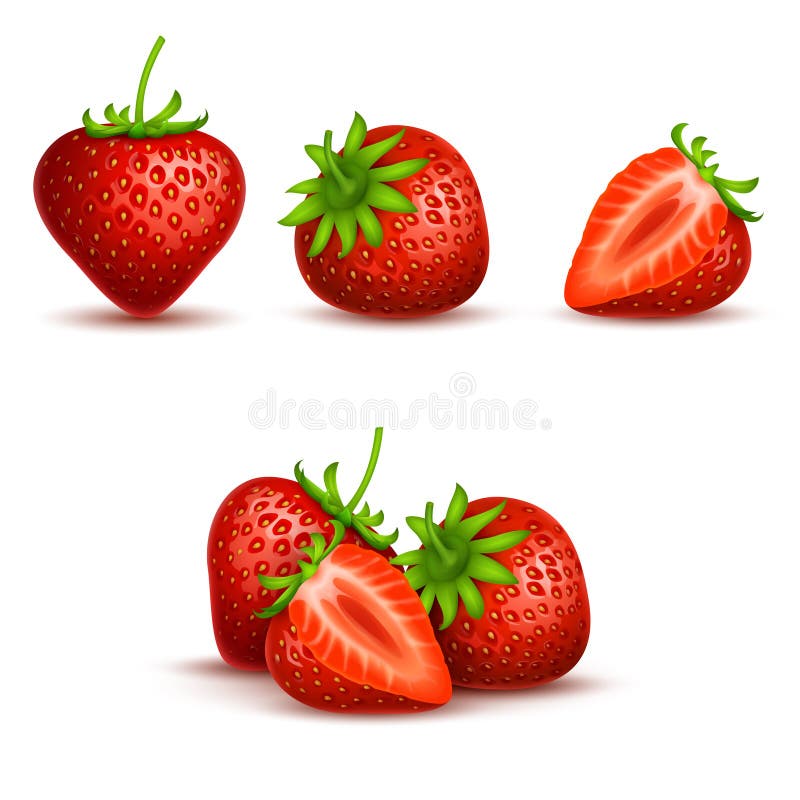 Vector realistic sweet and fresh strawberry isolated on white background royalty free illustration