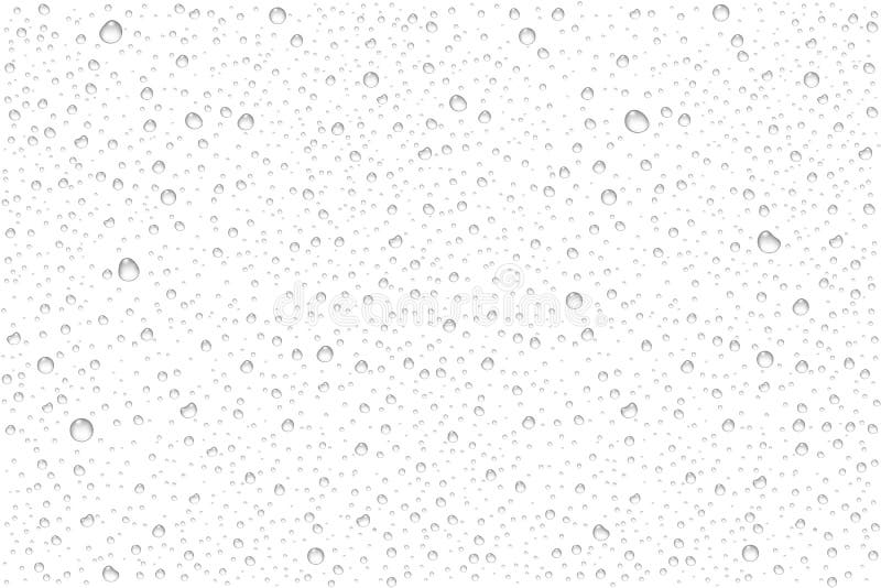 Vector realistic water drops condensed stock illustration
