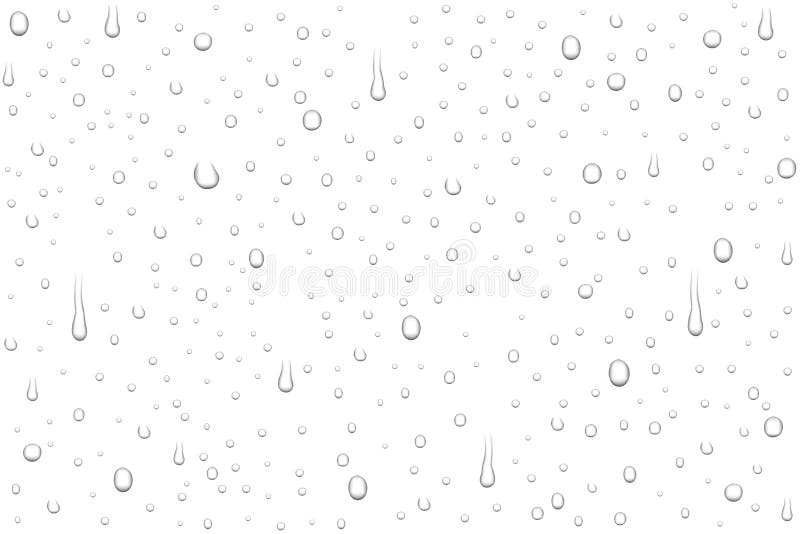 Vector realistic water drops on white background. royalty free illustration