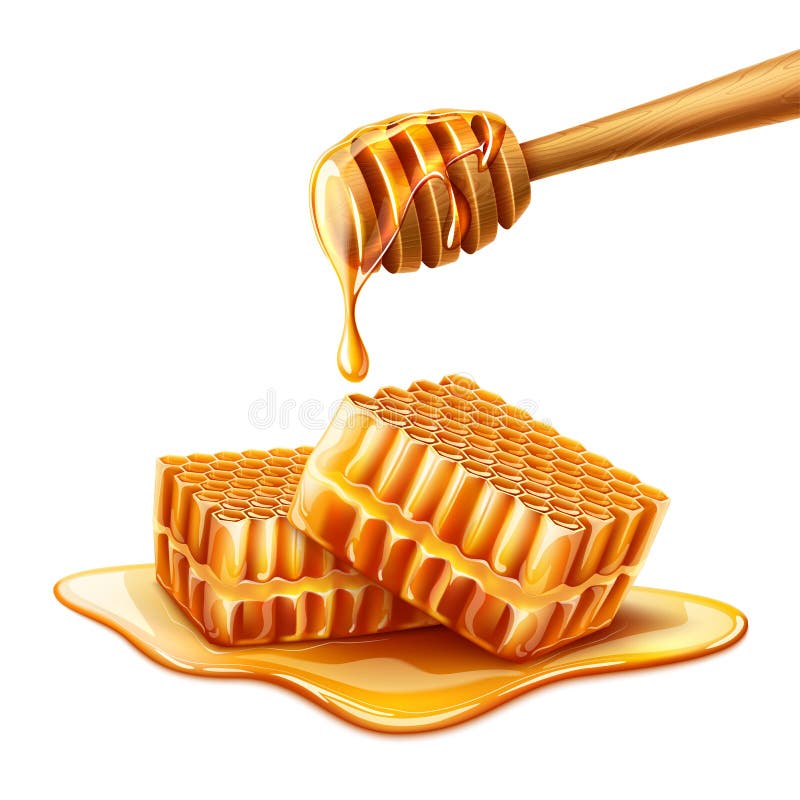 Vector realistische honing die van houten dipper druipen royalty-vrije illustratie Vector realistische honing die van houten dipper druipen royalty-vrije illustratie