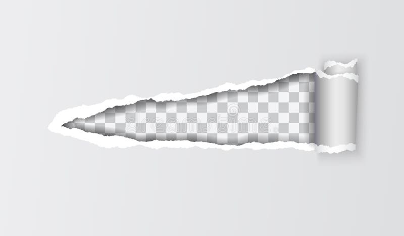 Vector realistische Illustration des grauen heftigen Papiers mit gerolltem edg vektor abbildung