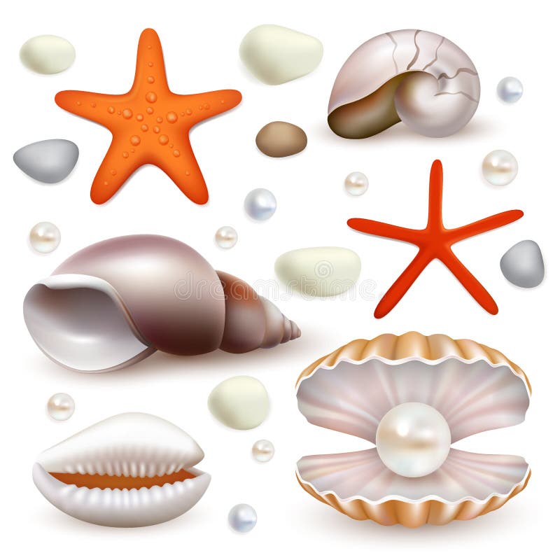 Vector realistische zeeschelp en zeesterpictogramreeks stock illustratie Vector realistische zeeschelp en zeesterpictogramreeks stock illustratie