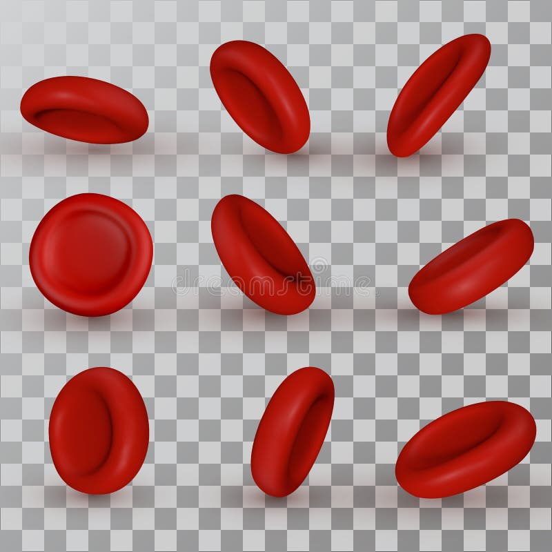 Vector red Blood Cells royalty free illustration