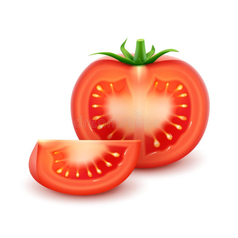 Vector Ripe Red Fresh Cut Tomato Close up Isolated