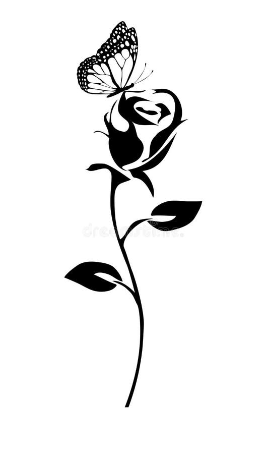 Vector Rose with Butterfly stock vector. Illustration of symbol 96996901