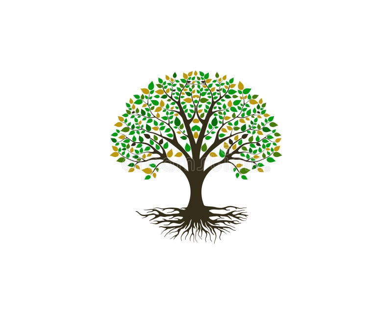 Vector rădăcină design pentru sigla arborelui vibrant, izolat pentru imprimare vector illustration
