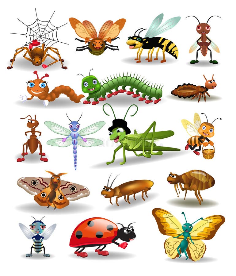 Vector Sammlung Insekten, die auf einem weißen Hintergrund lokalisiert werden stock abbildung