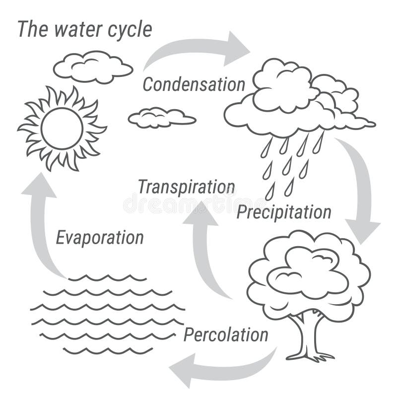 Best Earth water cycle Illustration download in PNG & Vector format