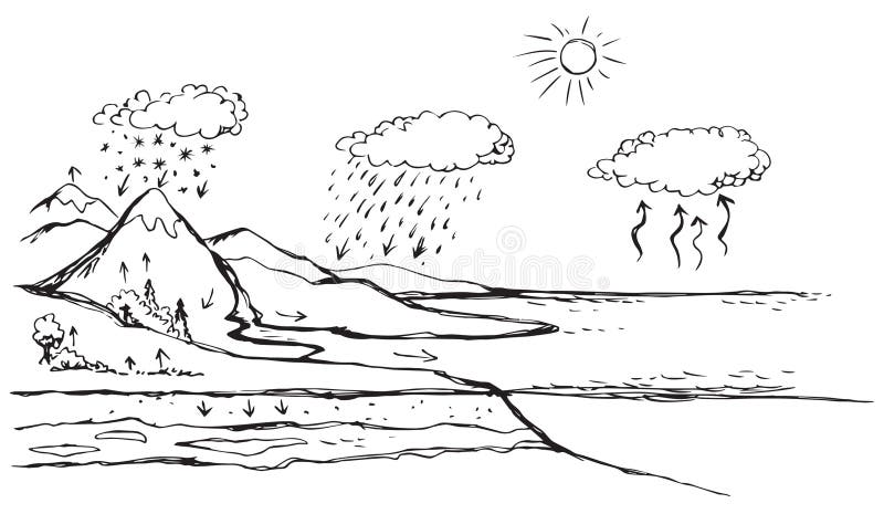 Water Cycle Stock Illustrations – 15,517 Water Cycle Stock