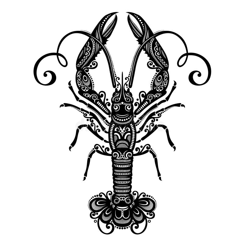 Vector Sea Langoustine