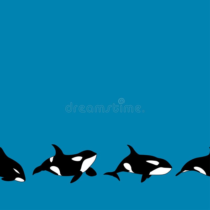 Orca Border Stock Illustrations 18 Orca Border Stock Illustrations Vectors Clipart Dreamstime