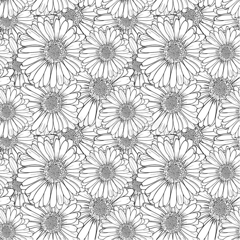 Vector Seamless Floral Pattern Outline Flowers Black And White Sketch Illustration Endless Background Stock Vector Illustration Of Flourish Drawing 124328262