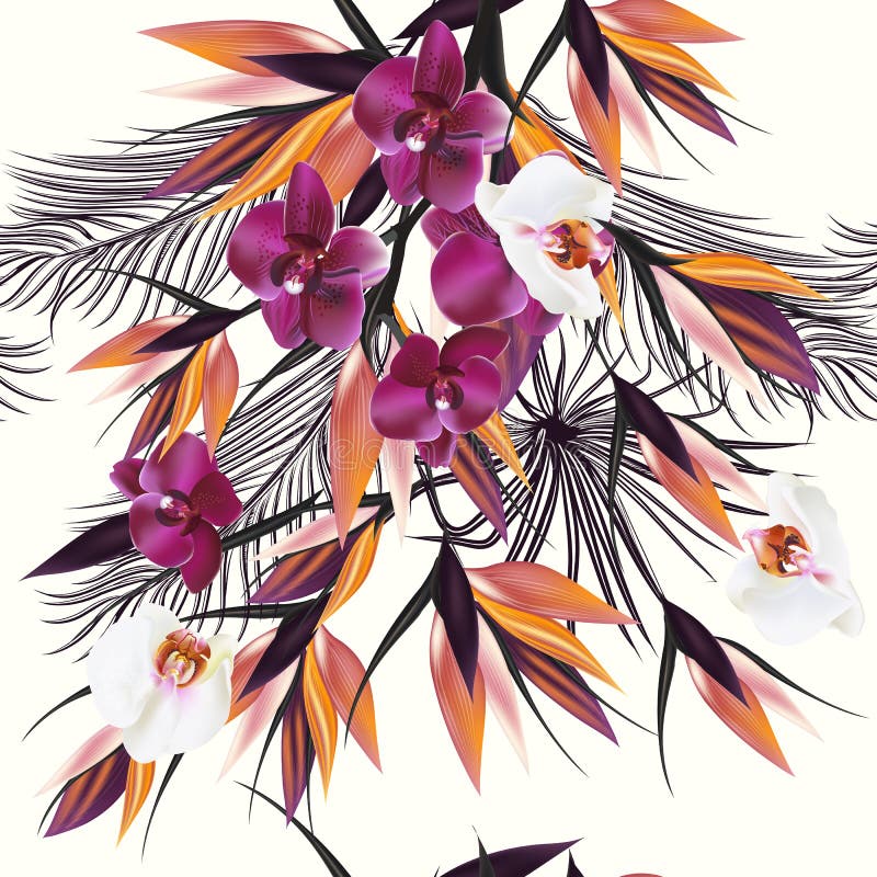 Vector seamless illustration on a tropical theme palm leafs and vector illustration Vector seamless illustration on a tropical theme palm leafs and vector illustration